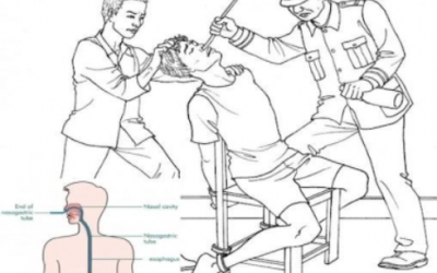 Image / illustration