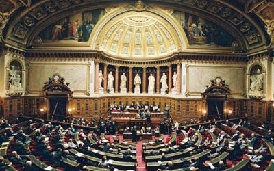 Image / illustration
